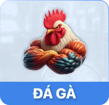 đấu trường đá gà